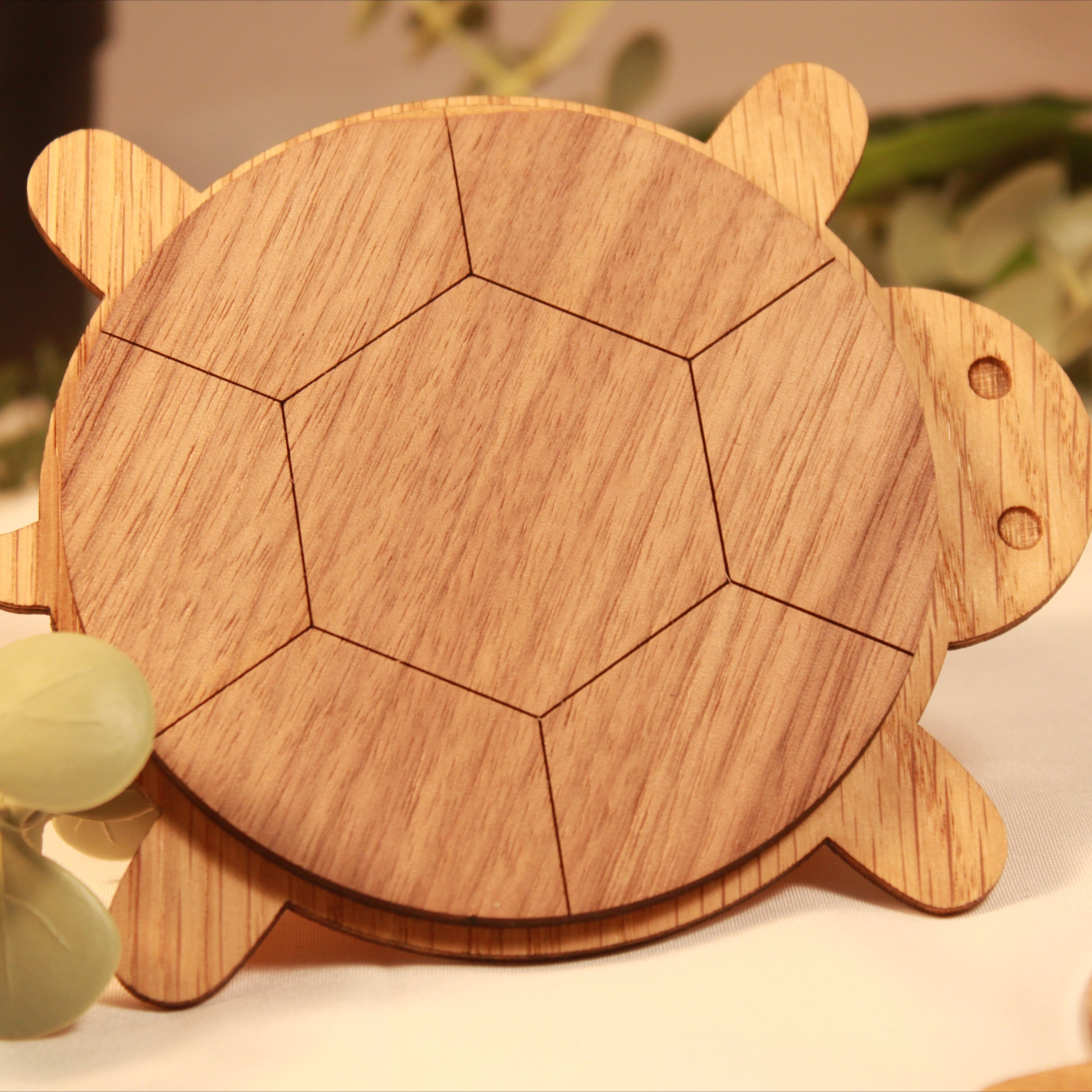 Skildpadden - Glasbrikkesæt